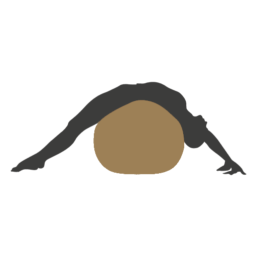 lana-pilates-4